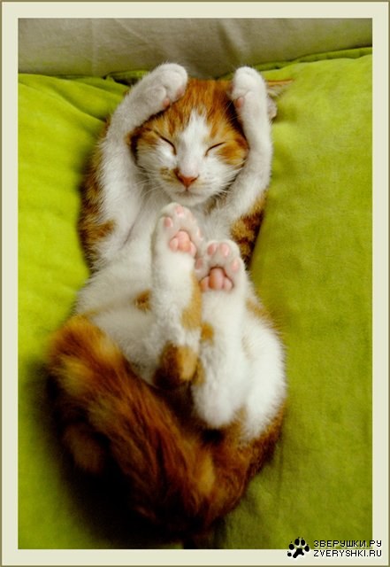 ��������... :)