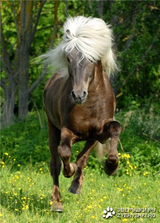 �������� ������ (12 ����)