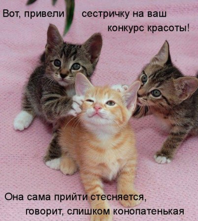 ������� ������� ;)