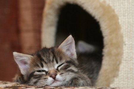 �������� ������� (20 ����������)