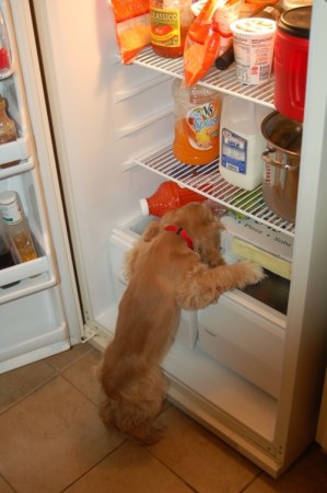 ������, ��� � ��� �� ���� �������? :)