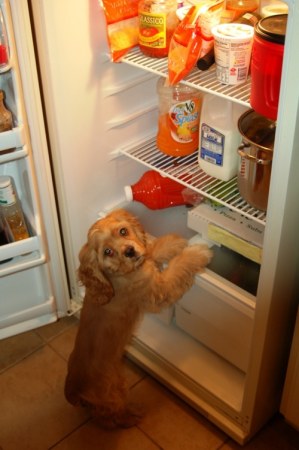 ������, ��� � ��� �� ���� �������? :)