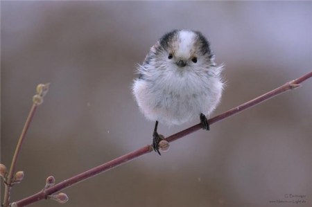 ������ ���������� �������� (22 ����)