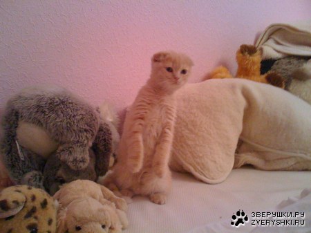 ��� �����!