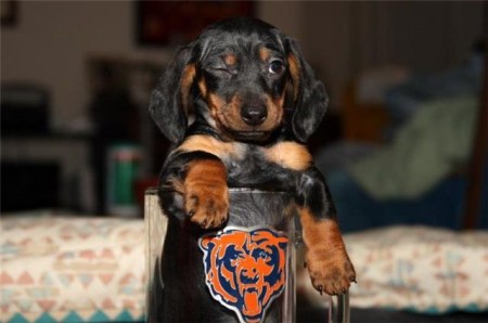 � ���������� 8 �����! :)