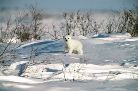 ����� ����� :)