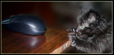 � ���� ������!