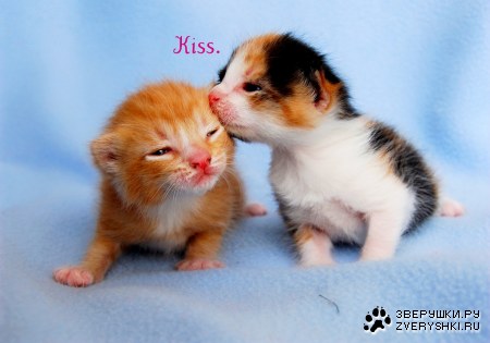 ����������!