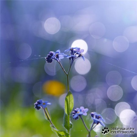 �������� ��� ���! ;)