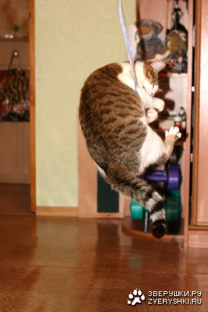 ��� ������ ������������ :)