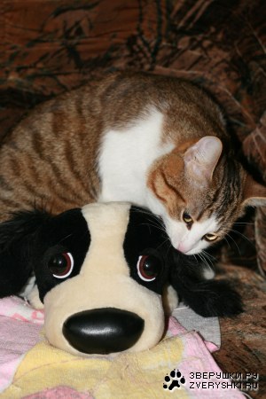 ��� ������ ������������ :)