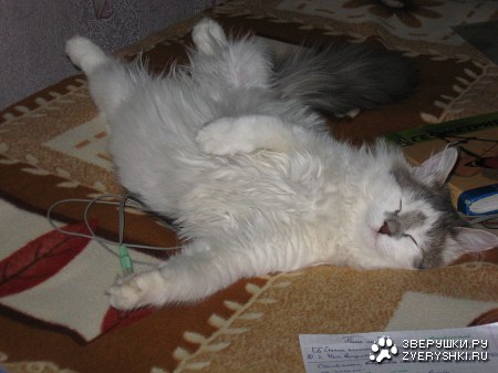 �� ����� ����� ;)