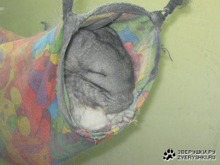 �������� ����...