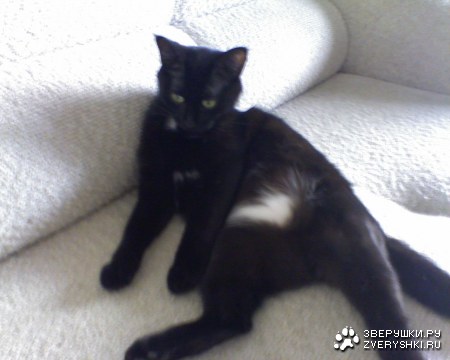 �������! ;)