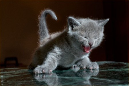 ������� ������� :)