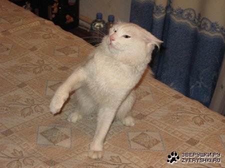 � ����� ����� :)