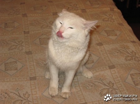 � ����� ����� :)