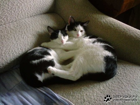 �������� :)