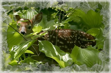 ���� ������ �������!