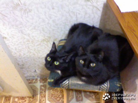 �� ����� ������������!