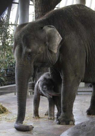 �� ����� ������ :)