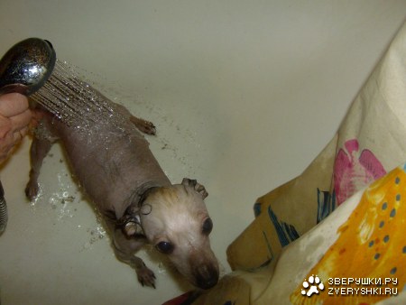 ��� �������! :)