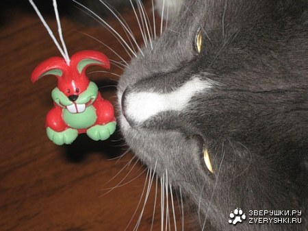 �������� ������� :)