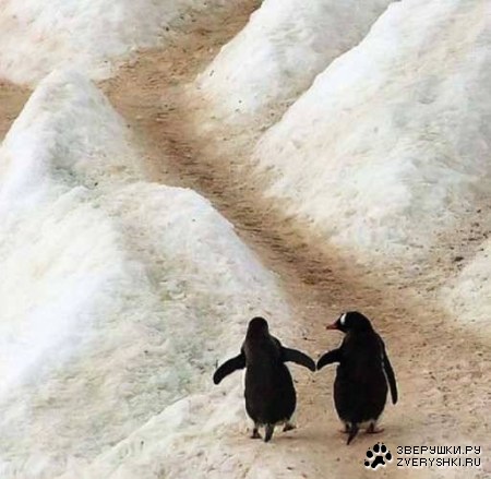 ������ ������ ������ :)