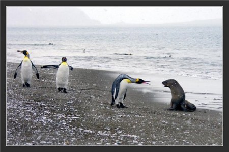 �������� (14 ����������)