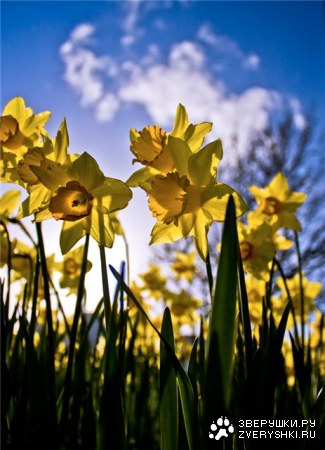 �������� ��� ���! :)