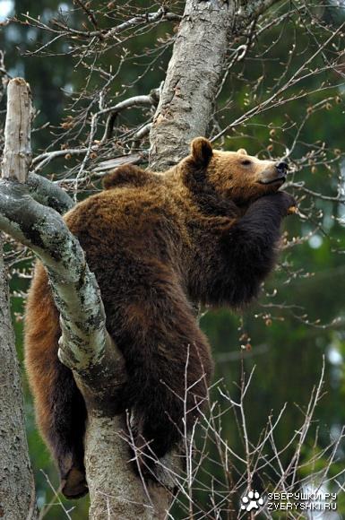 ��������� ��������� :)