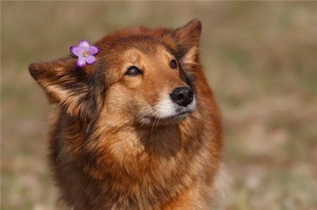 ������� ;)