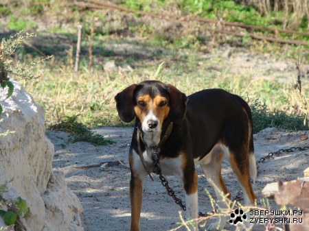 ������ ����������� �������� :)