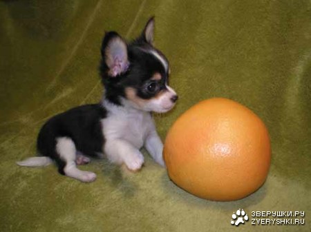 ��� ��� � ��� ;)