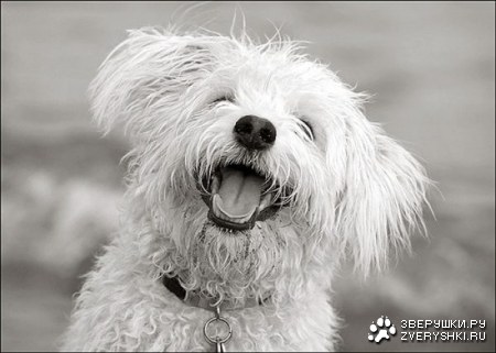 ���������� ���� :)