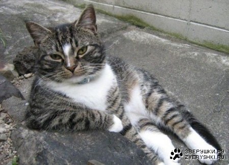 ������� ��� :)