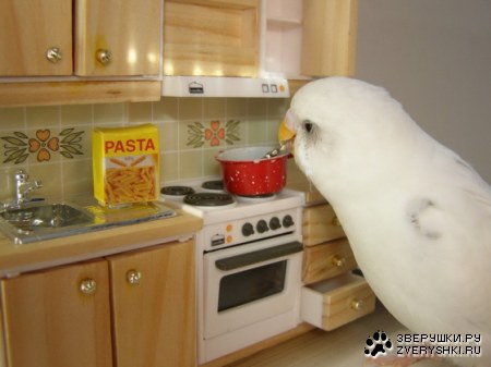 ������� ��� ����������� :)