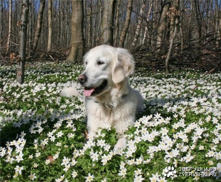 ���������� ��� ���! :)