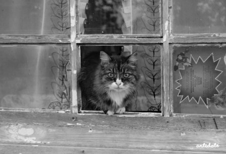 ������ :)