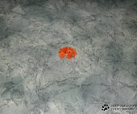 � ����� �������� �� ������������ :)