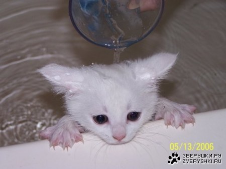 ������ ��������� :)