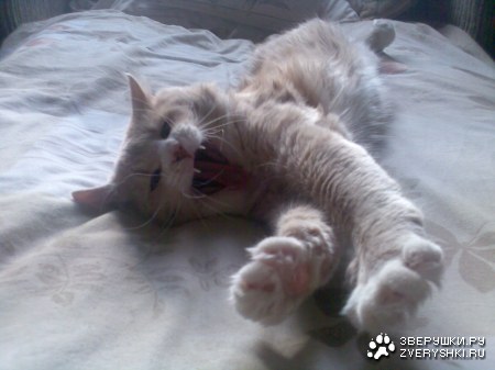 ��� �������� � ������ ����� :)