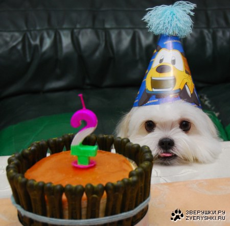 �������������� ���������! :)