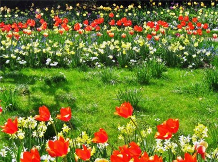 ��������� ��� ����������! :)