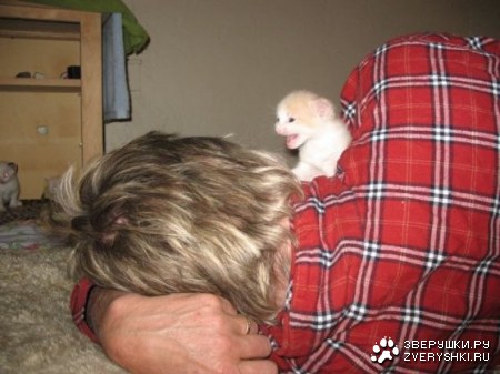 ������! :)