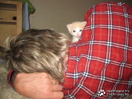 ������! :)