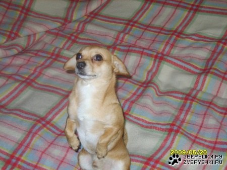 �������!