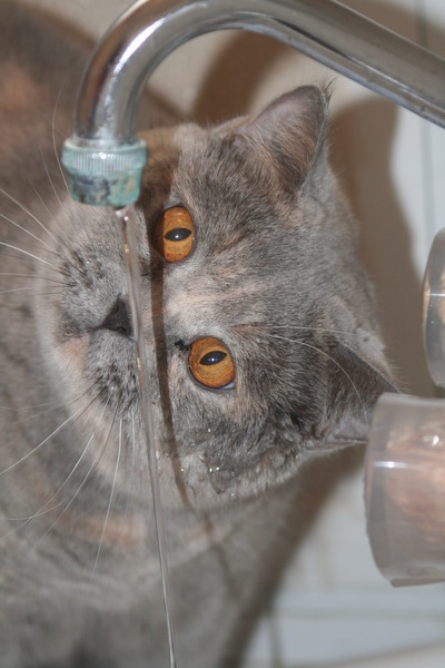 ���-��� :)