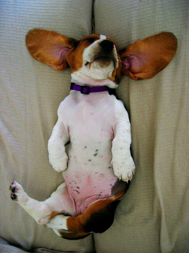 ����� ������ �������� (13 ����)