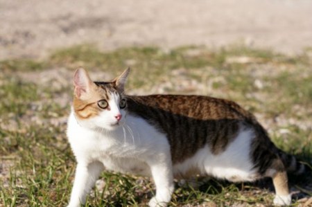 ��� ������ ����� �� ���� :)